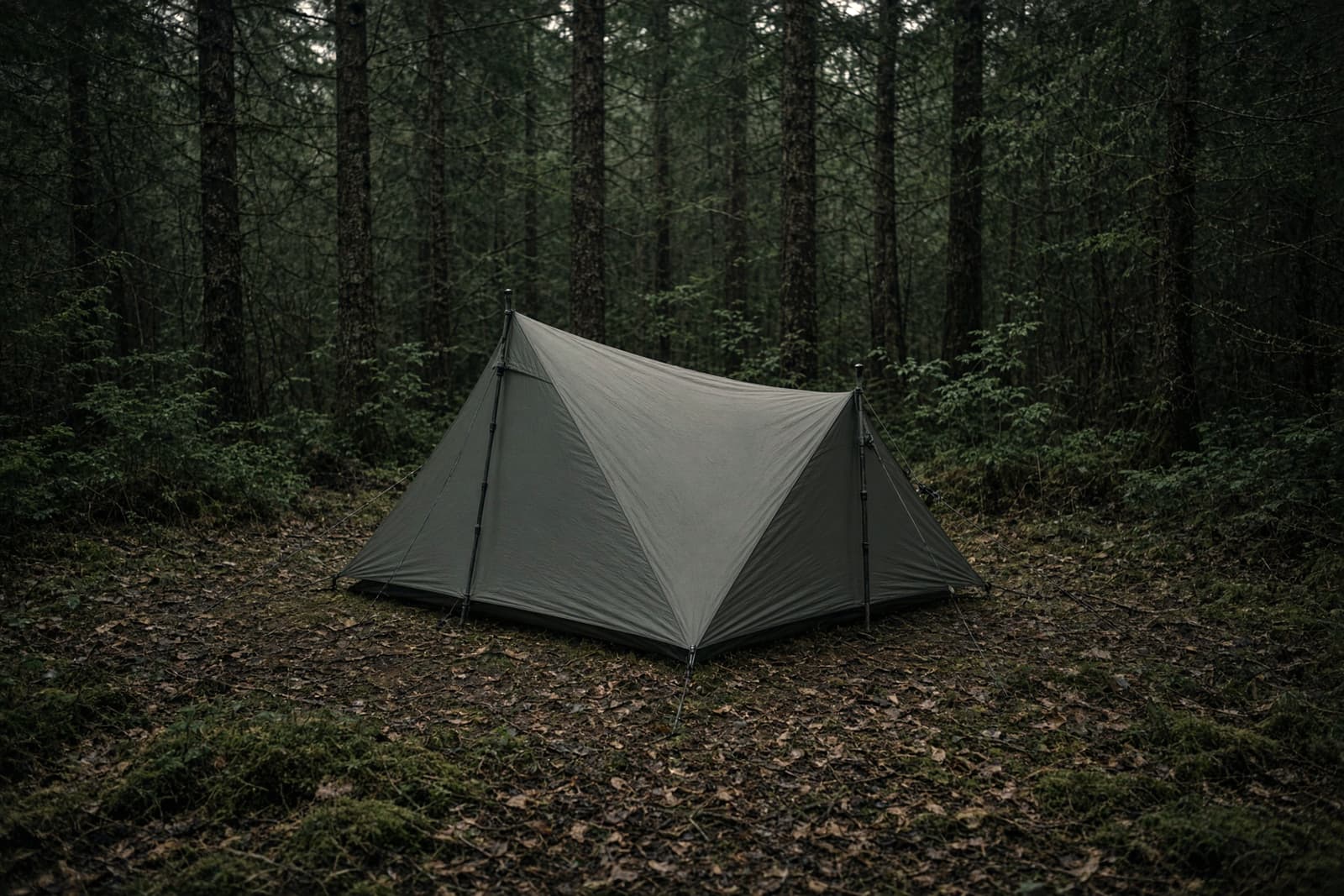 A one-person trekking-pole tent pitched alone in a small forest clearing