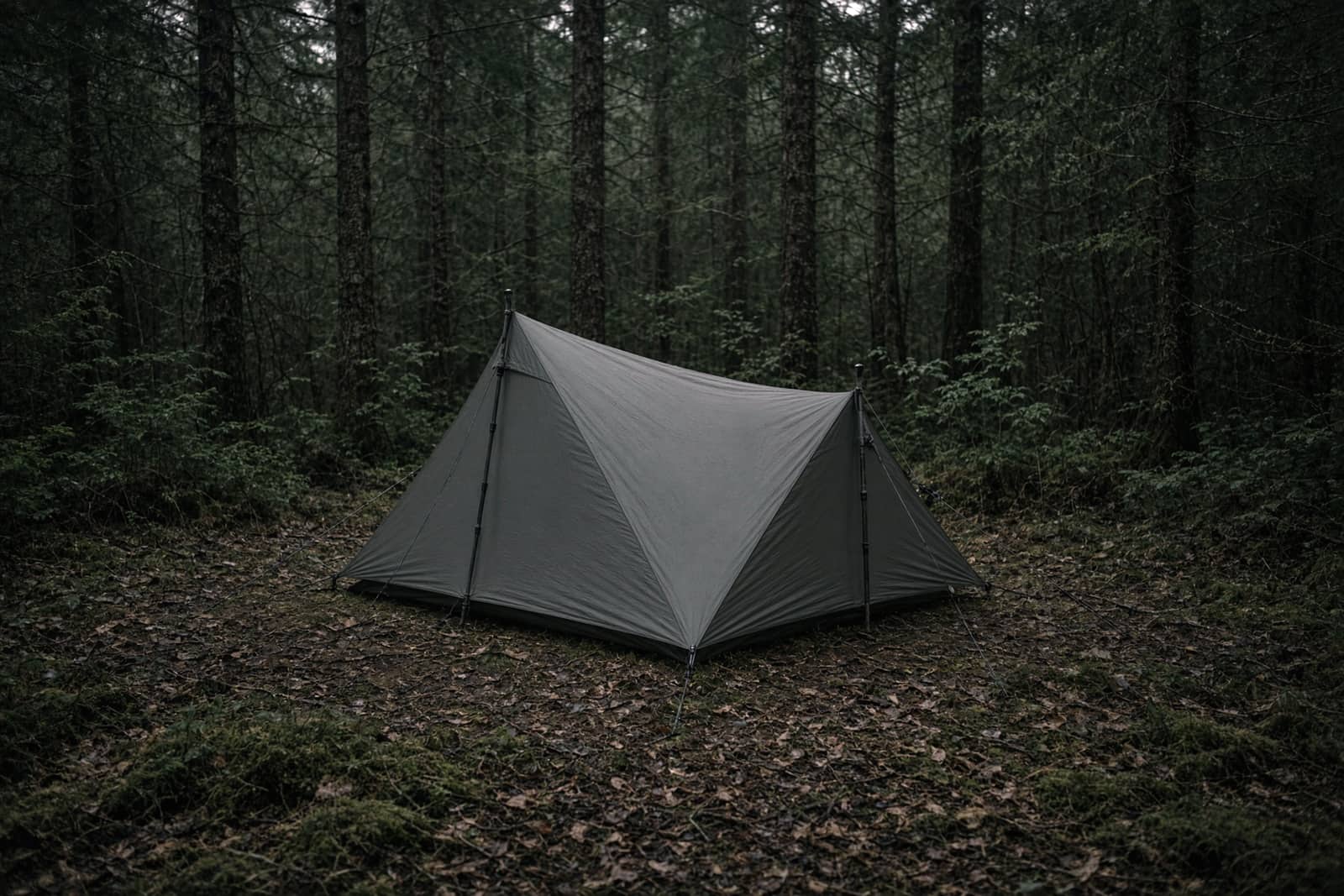 A one-person trekking-pole tent pitched alone in a small forest clearing
