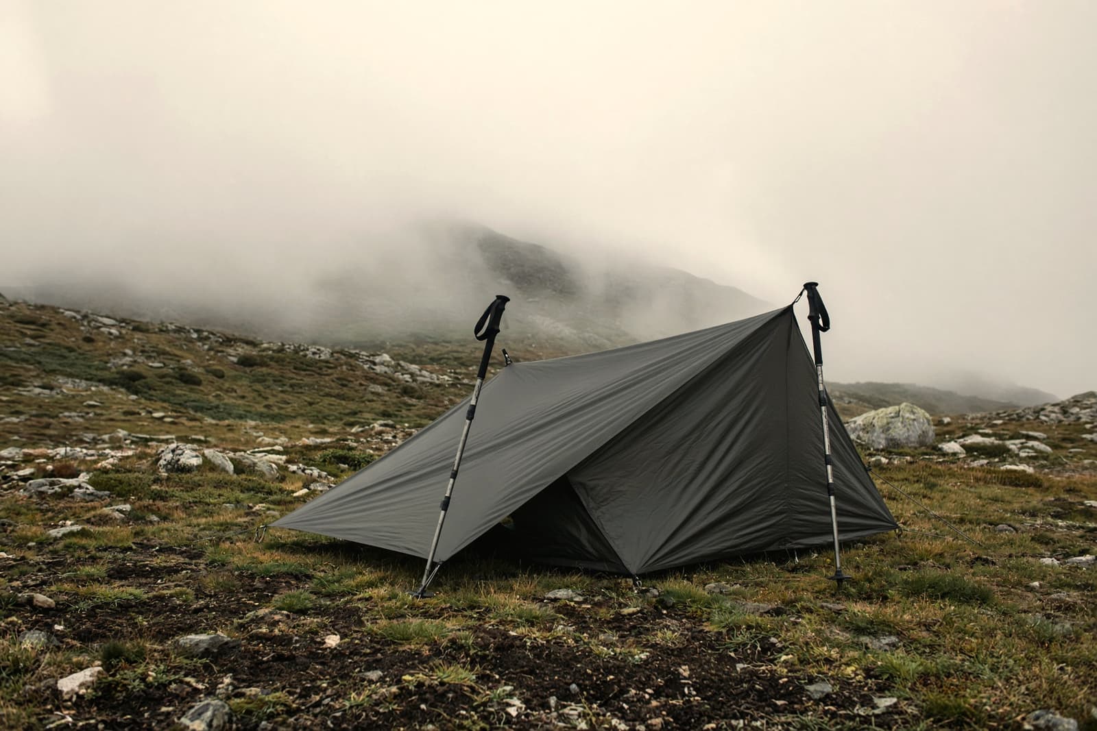A single taut trekking-pole shelter pitched on alpine meadow soil, the two trekking poles visible as its frame, mist on the