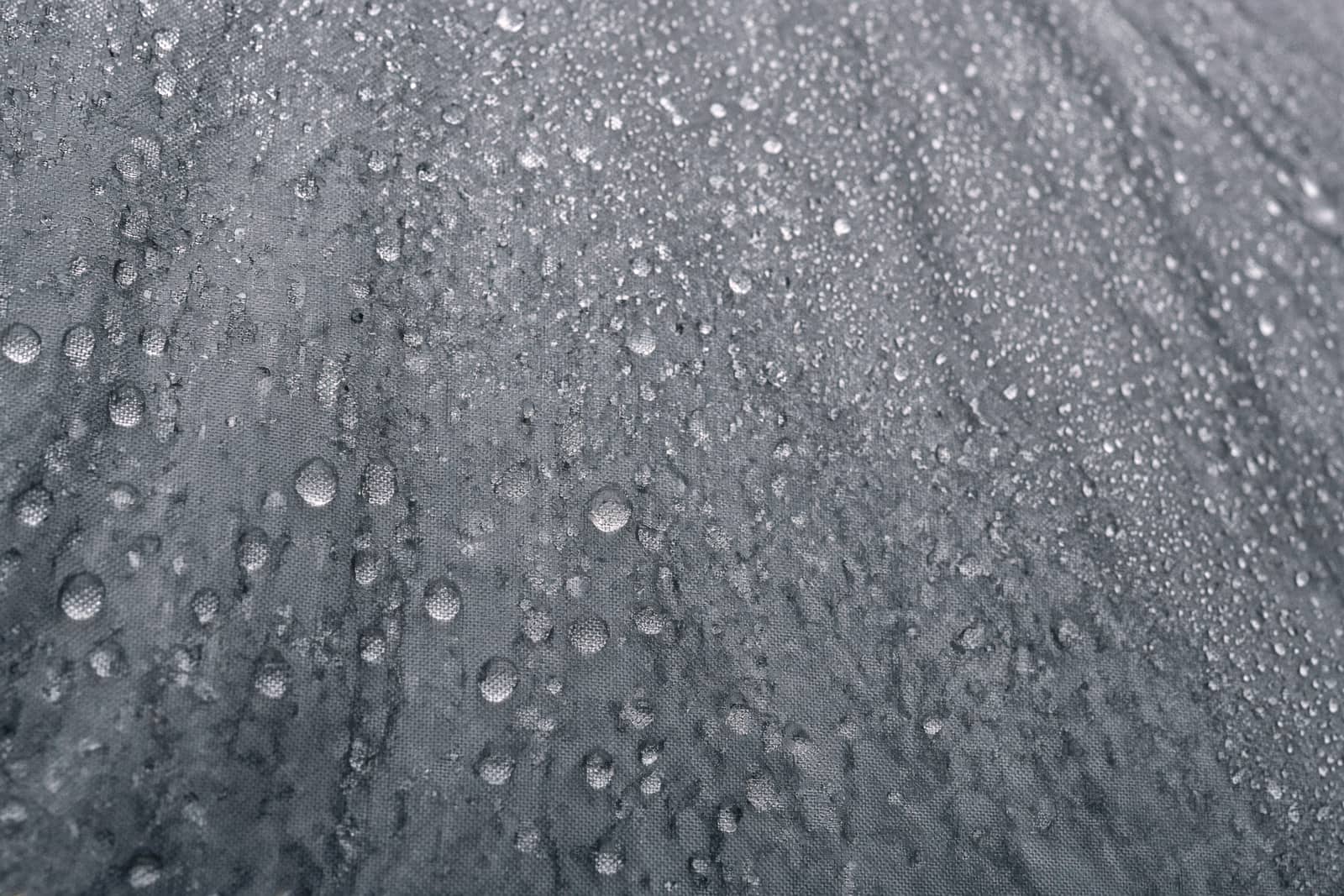 Condensation droplets on the inside of a tent fly at dawn, macro