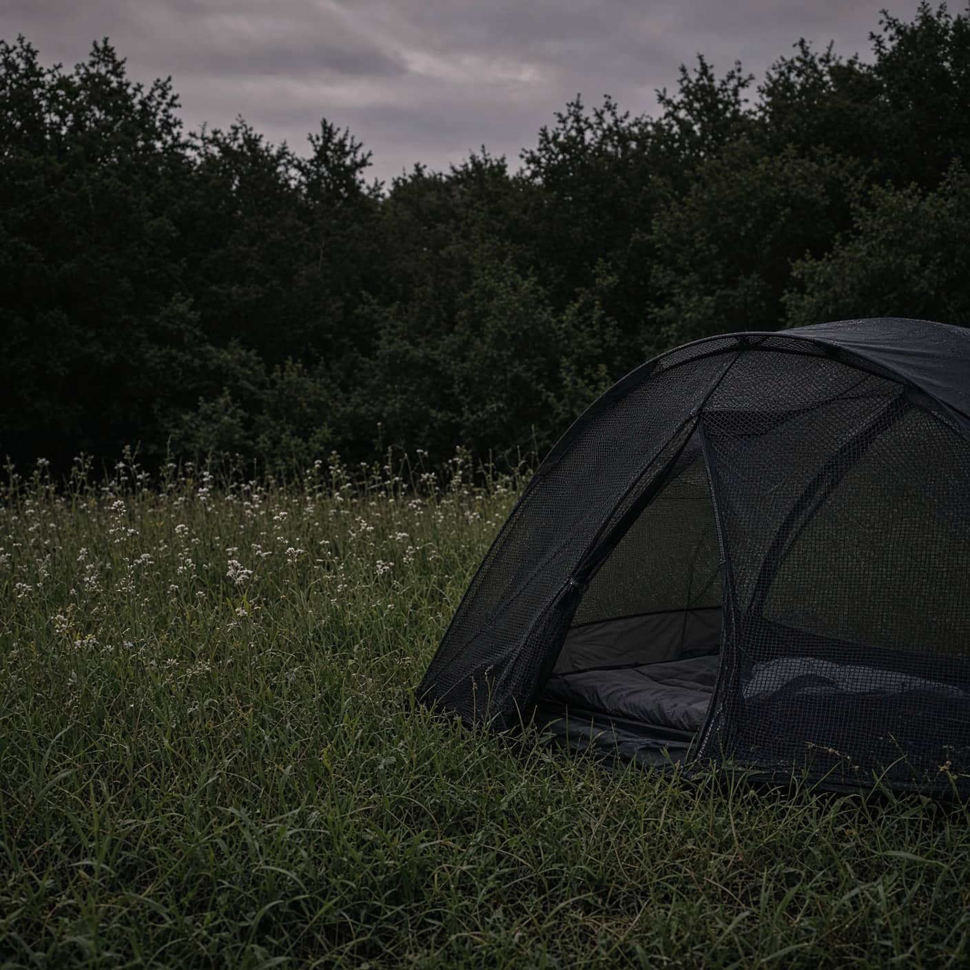 A mesh-heavy tent in a summer meadow at dusk