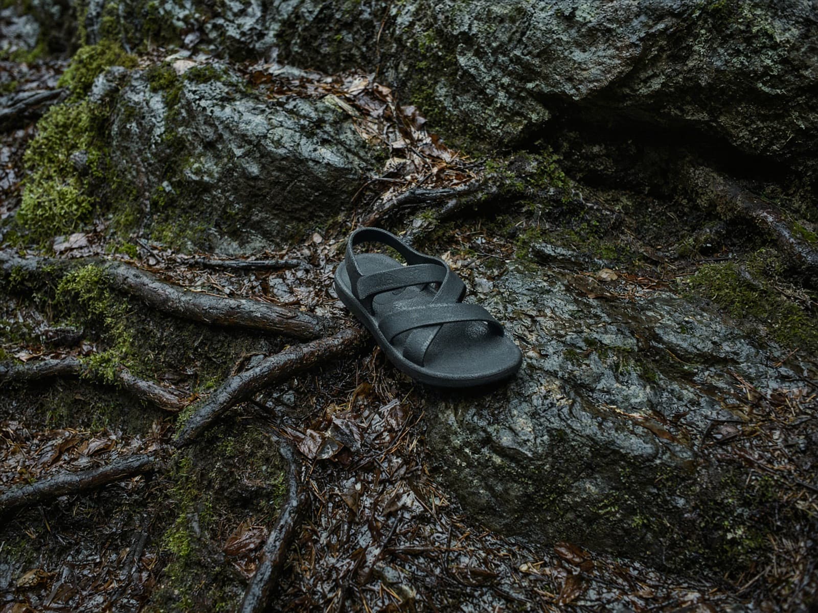 A minimal strap sandal on wet rock and roots