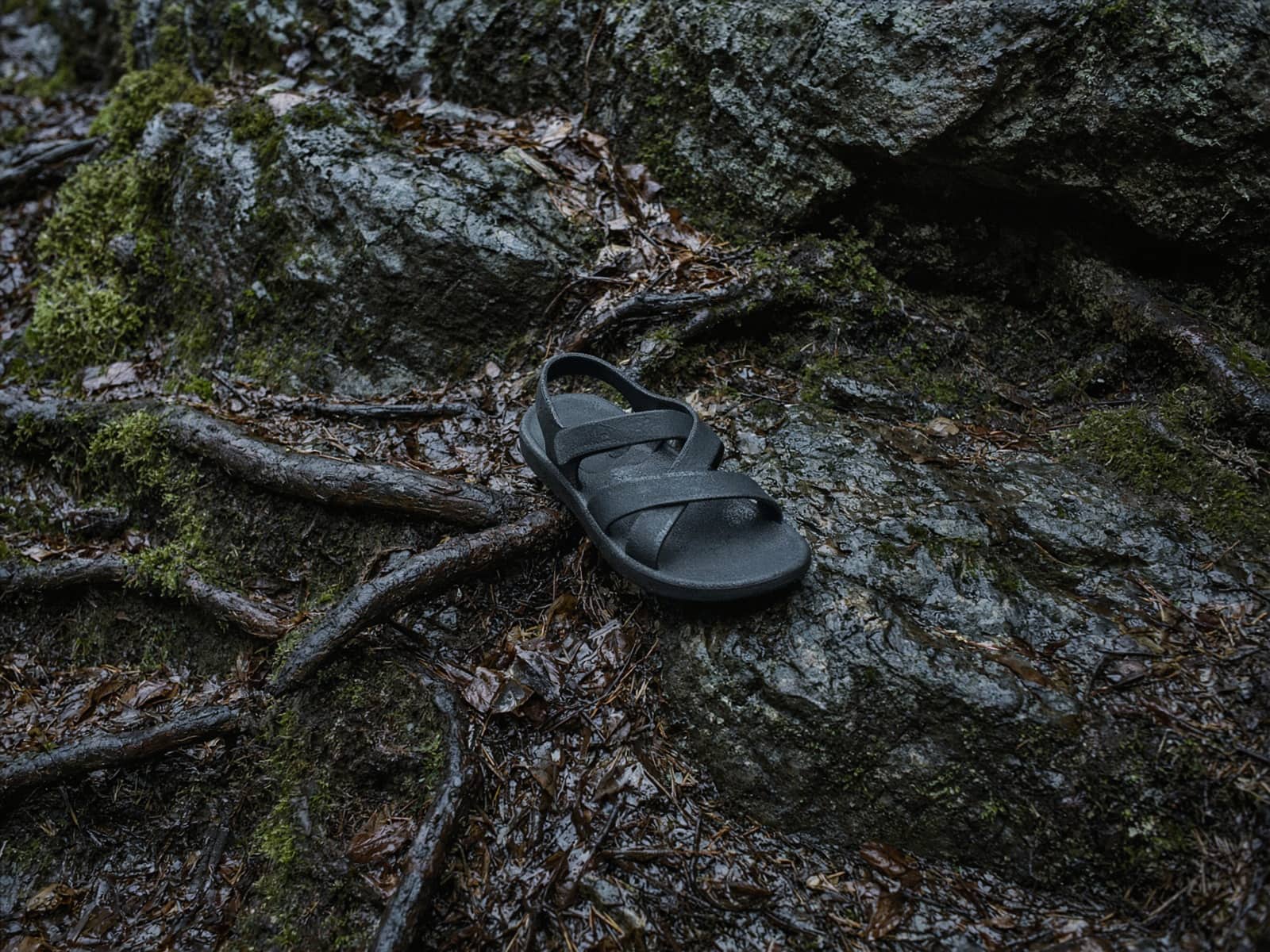 A minimal strap sandal on wet rock and roots