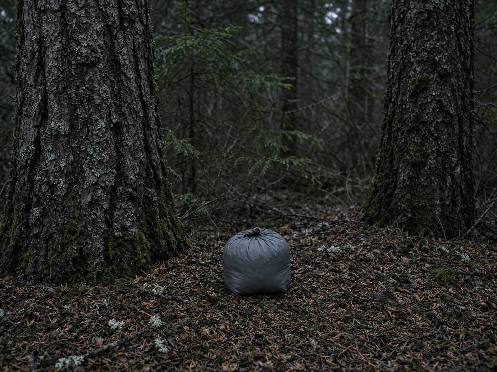 An ultralight hammock in a tiny stuff sack between two conifers