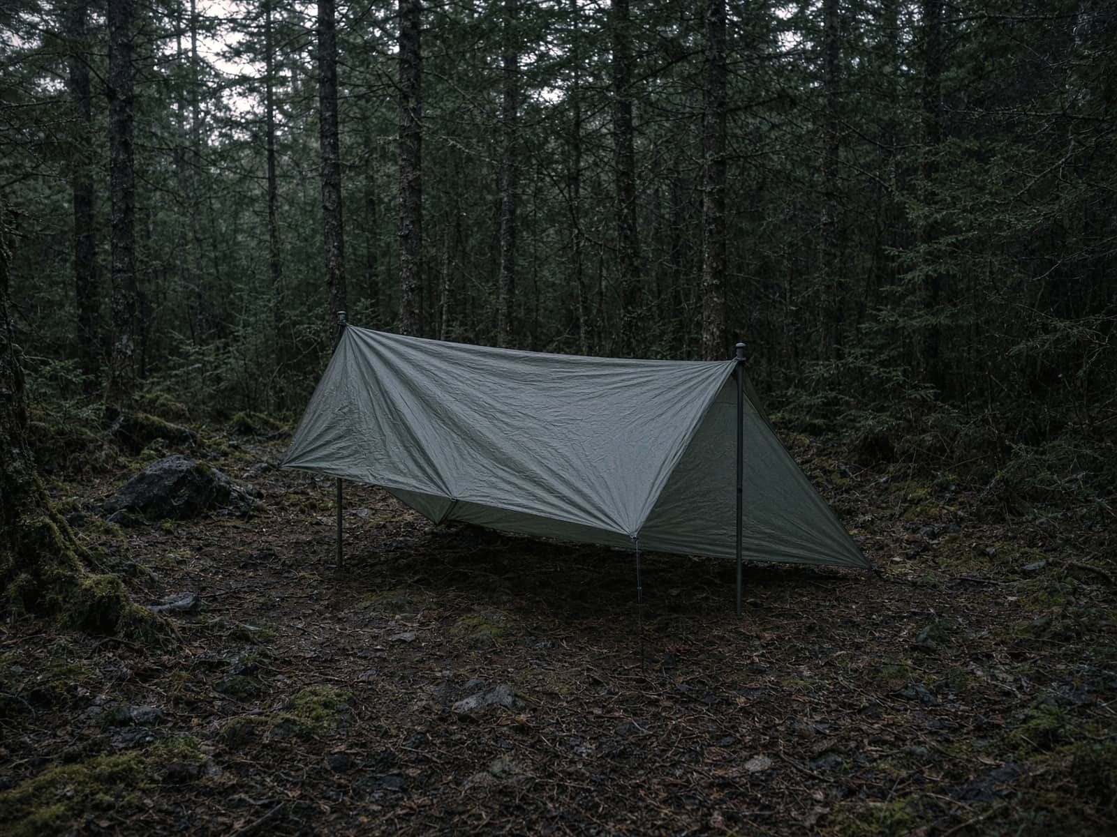 A two-pole trekking-pole tent pitched at a forest campsite